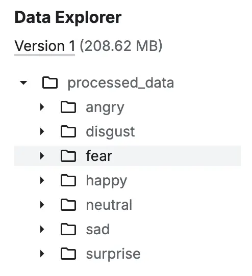 Facial Emotion data format
