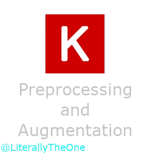 Preprocessing and Data Augmentation